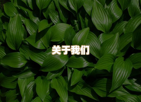 关于华净工业除尘供应网